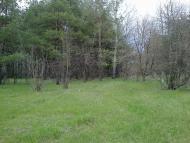 Філія з panoramio.com