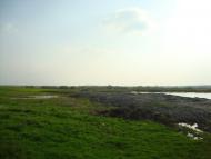 Дроздні з panoramio.com