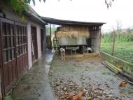 Великі Береги з panoramio.com