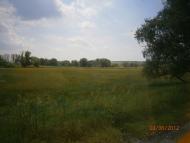 Олексіївка - Останні фото