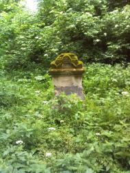 Винники - Останні фото