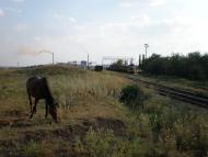 Побузьке з panoramio.com