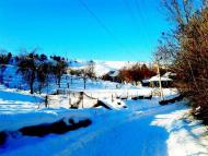 Зіньків з panoramio.com