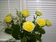 Дніпродзержинськ з panoramio.com (ч.4)