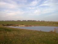 Миролюбівка з panoramio.com