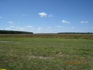 Мельники-Річицькі з panoramio.com