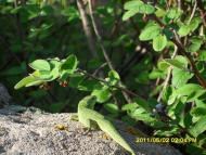 Захарівка з panoramio.com