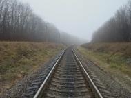 Соколівка з panoramio.com