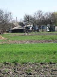 Лісівщина з panoramio.com