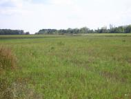 Бірки - Останні фото