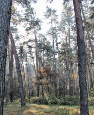 Озерне - Останні фото