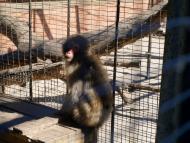 Озера - Останні фото