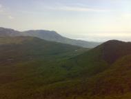 Лаванда з panoramio.com (ч.2)