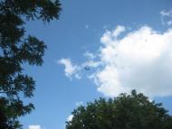 Ольгопіль - Останні фото