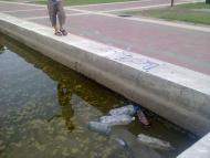 Мелітополь з panoramio.com (ч.2)