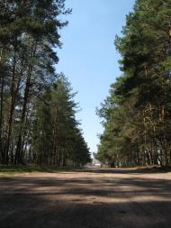 Лісівщина з panoramio.com