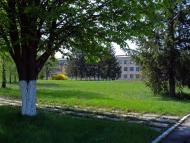 Новомайське з panoramio.com