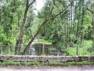 Рогощі з panoramio.com