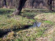 Popasna - Latest photos