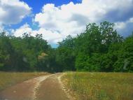 Тернівка з panoramio.com (ч.3)