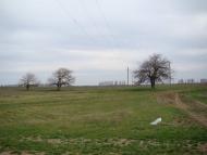 Суворово - Последние фото