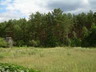 Маневичі з panoramio.com