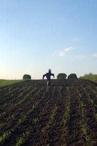 Рогізне з panoramio.com