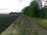 Андрушівка з panoramio.com