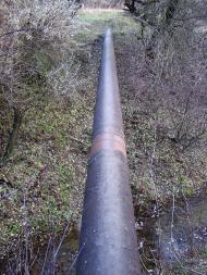 Popasna - Latest photos