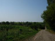 Кантівка з panoramio.com