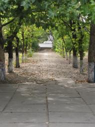 Гладківка з panoramio.com