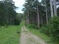 Відрадне з panoramio.com