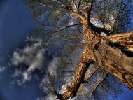 Кремінець з panoramio.com