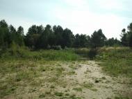 Torfyane - Latest photos