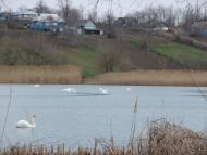 Липівка з panoramio.com