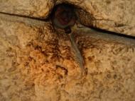 Кам'янське - Останні фото