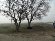 Ромашкине з panoramio.com