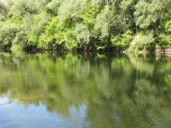 Яреськи - Останні фото