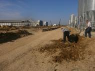 Східне - Останні фото