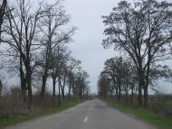 Жнятино з panoramio.com