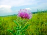 Лошнев - Последние фото