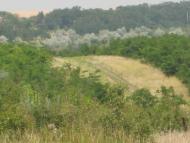 Dobrokamyanka - Latest photos