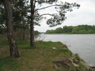 Беремицьке з panoramio.com