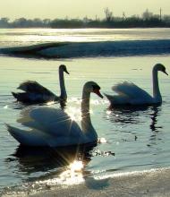 Ковель з panoramio.com (ч.2)