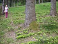 Спас з panoramio.com