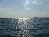 Шацьк з panoramio.com