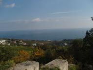 Масандра з panoramio.com