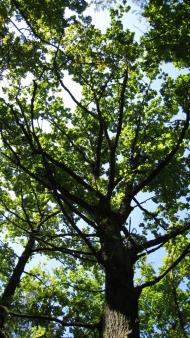 Мельники-Річицькі з panoramio.com