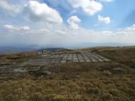 Липовець - Останні фото