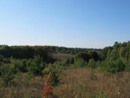 Іванівці - Останні фото